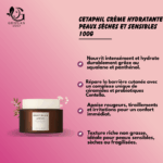 SKIN1004MadagascarCentellaProbio-CicaEnrichCream_600x_bbd28834-12bd-4ef4-999b-2c22d5a39197.webp